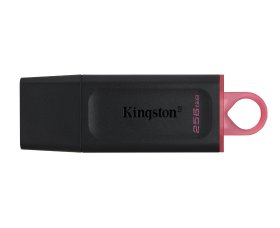 Kingston DTX/256GB