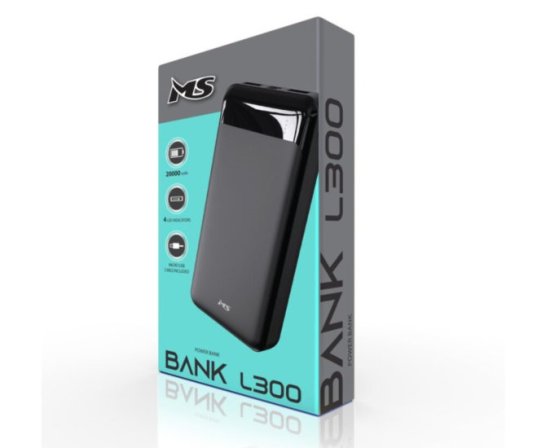 (image for) MS BANK L300