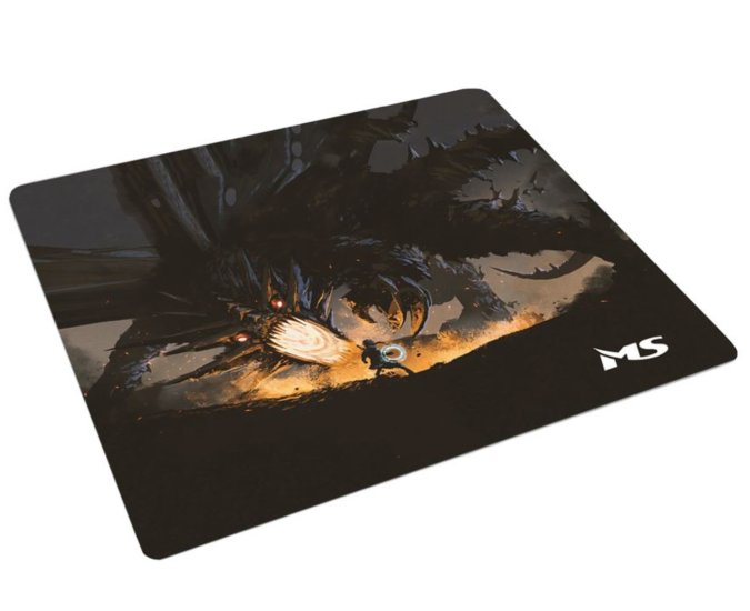 (image for) MS TERIS L500